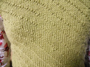 DSCN0864